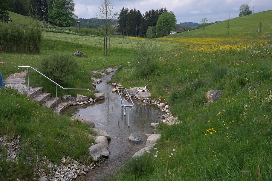 Günz, River, Origin, Source, günzquelle, water, bach, creek, nature, grass
