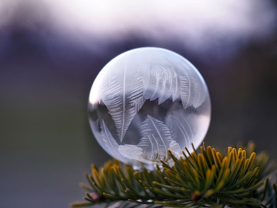 shallow, focus photography, ice ball, ball, circle, round, white, glass, plant, crystal ball