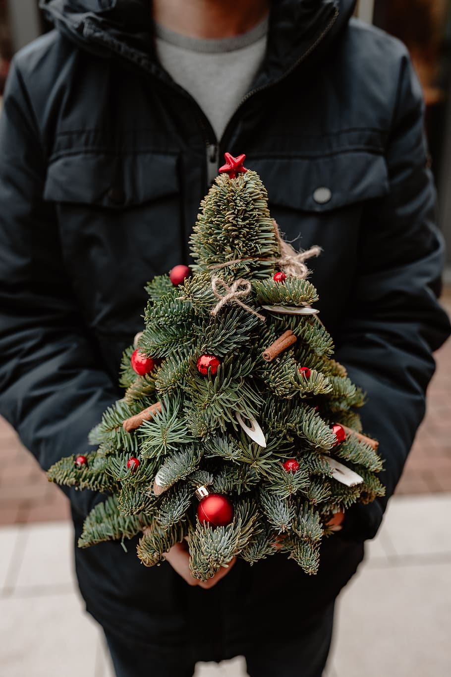 árvore de natal, pequena, dezembro, feriado, árvore, abeto, vermelho, homem, segurando, Natal