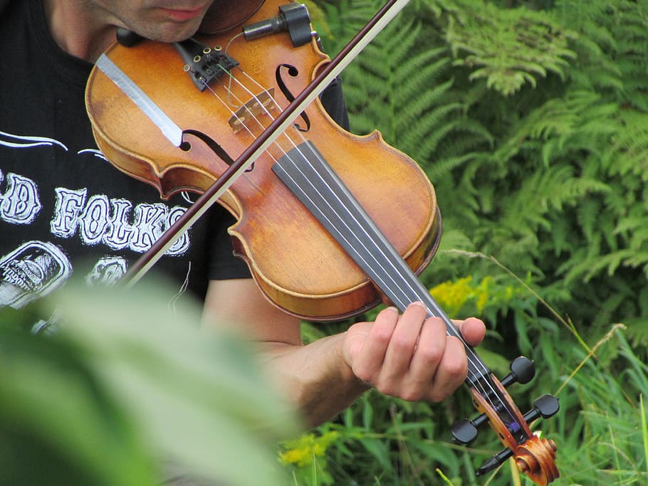 violin, nature, musician, music, garden, violinist, environment, ferns, classical, string instrument