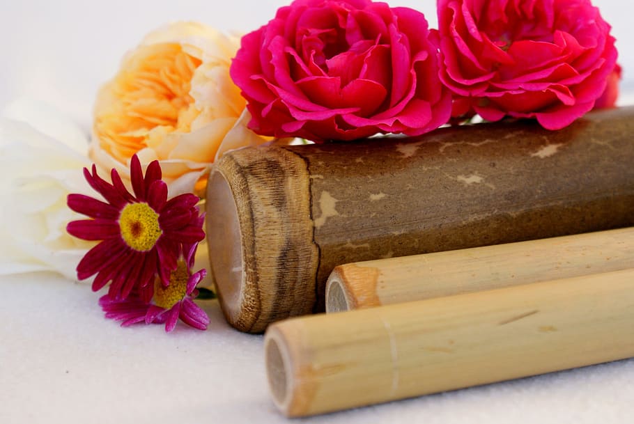 pink, flowers, brown, wooden, tube, wellness, spa, bless you, prevention, massage