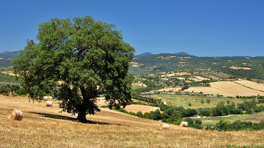 Toscana, Saturnia, Maremma, Itália, paisagem, verão, céu, nuvens, plano de fundo, azul