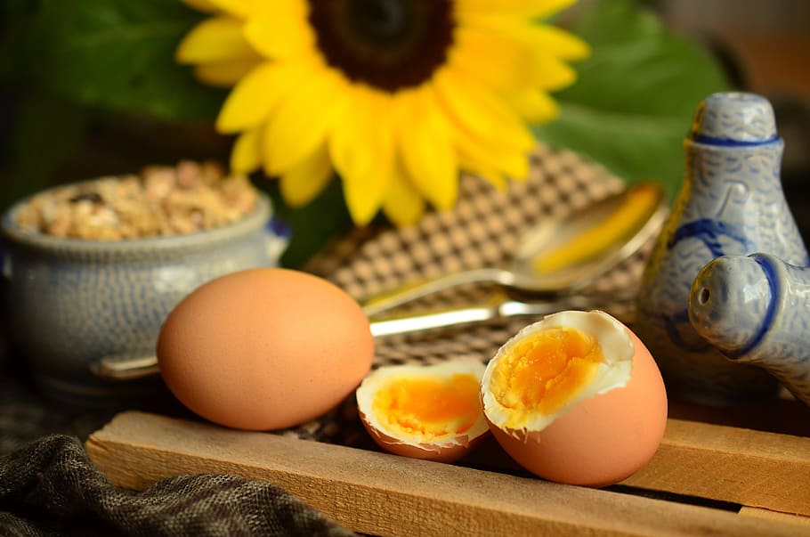 two, brown, hardboiled, egg, yolk, boiled egg, breakfast egg, breakfast, yellow, proteins