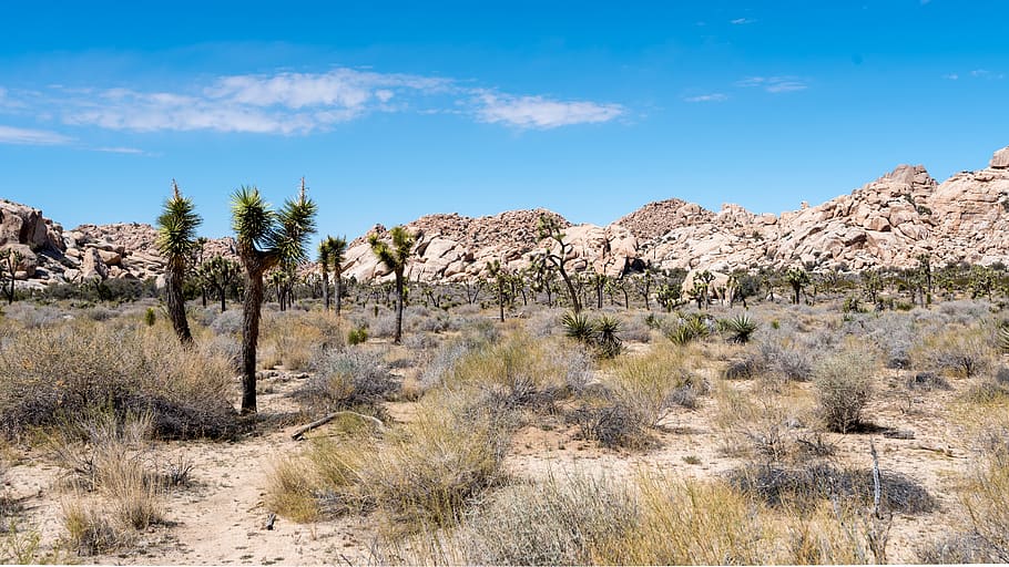 desert, nature, dry, landscape, sky, outdoors, panoramic, mountain, horizontal plane, rock