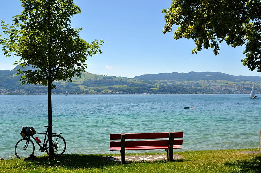 Lake Zurich, Water, Rest, park bench, break, landscape, switzerland, tree, nature, relaxation
