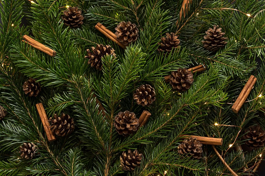 brown, acorn ornament lot, christmas, tree, pine, cone, holiday, season, decor, green color