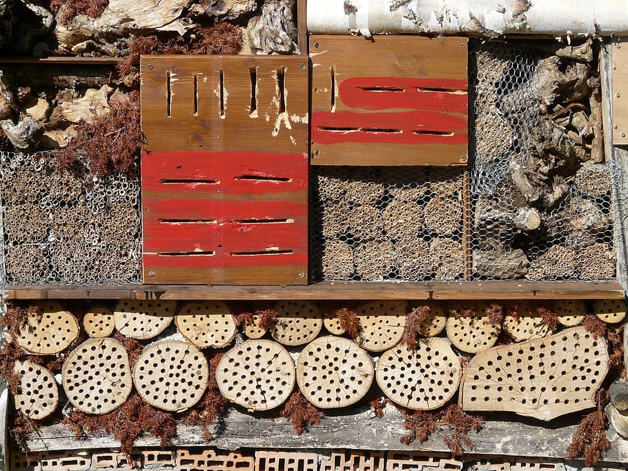 brown wooden board, insect hotel, insect house, insect asylum, insect box, nesting help, hibernation help, insect, near natural, school biology