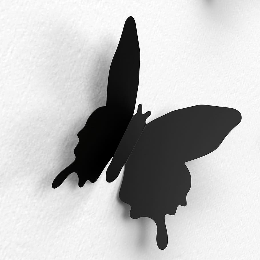 蝶 壁 装飾 色 紙の装飾 カラフル 喜び ステッカー 人物なし 動物の表現 Pxfuel