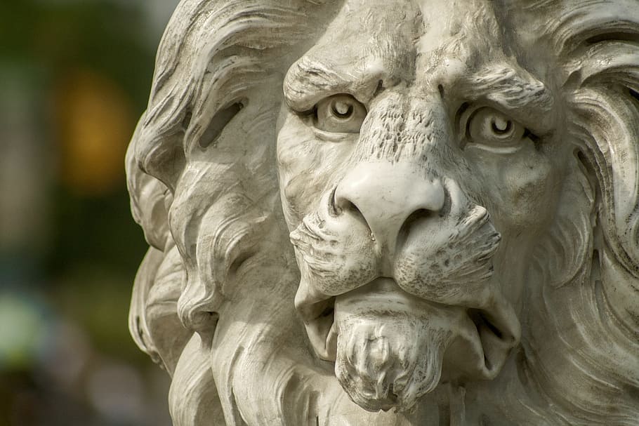 brown lion statue, lion, statue, zoo, sculpture, art and craft, representation, craft, human representation, close-up