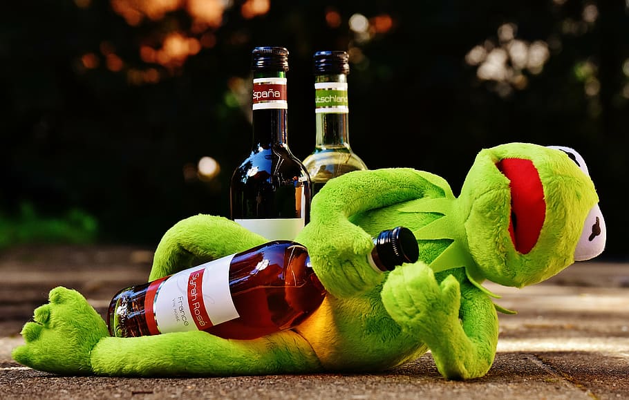 kermit, frog, holding, wine bottle, lying, ground, wine, drink, alcohol, drunk