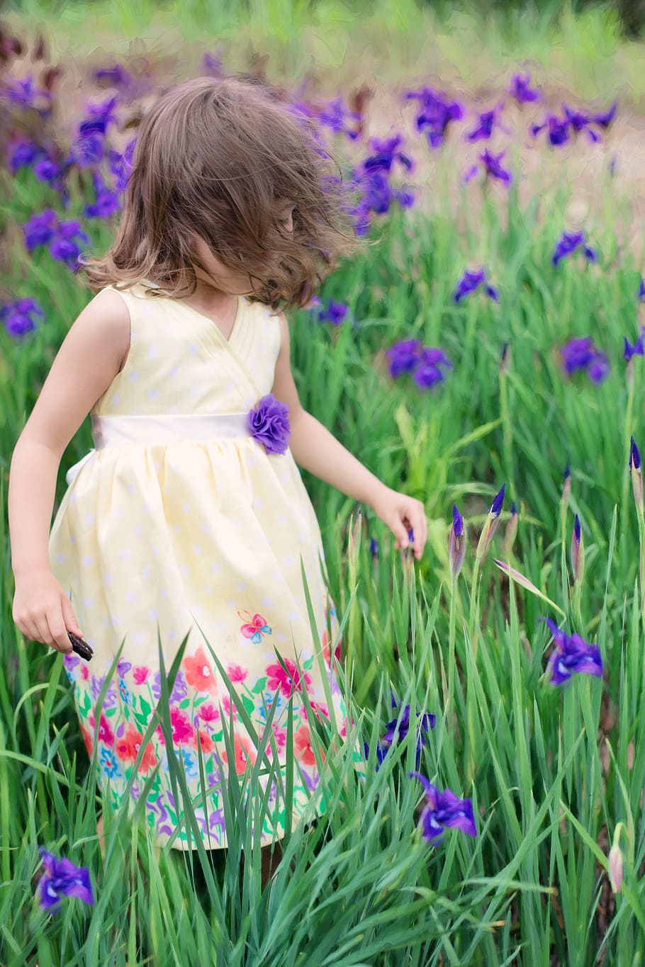 menina, vestindo, amarelo, mini vestido sem mangas com decote em v, roxo, campo de flores, menina no vento, verão, flores, primavera