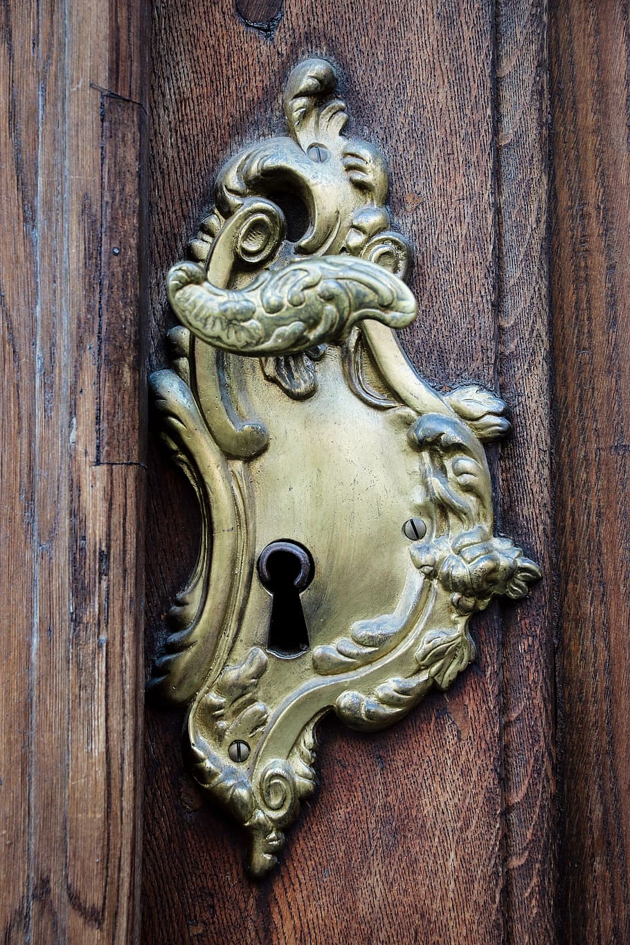 orificio de llave de plata, manija de la puerta, puerta, cerradura, hierro, antigüedades, aldaba, león - felino, primer plano, madera - material