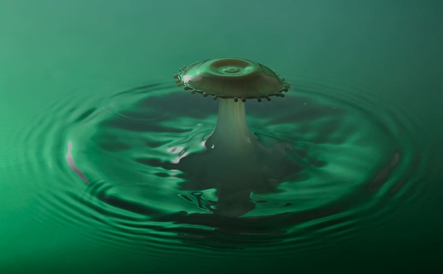 Drop, Crown, Milk, Macro, Impact, experiment, green, abstraction, collision, water