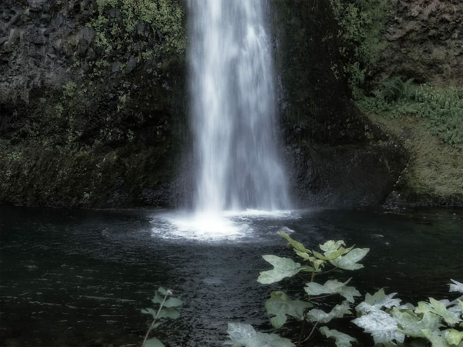 写真, 滝, 囲まれた, 岩, 黒, 灰色, 緑, 葉, 白, 自然