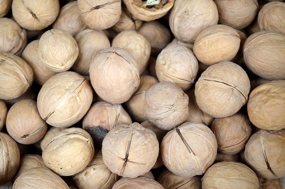 food, season, walnut, walnuts, nut, nutmeat, seed, shell, kernel, holidays