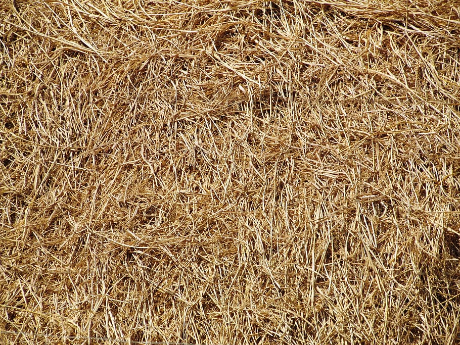 brown hay, Hay, Straw, Bale, Farm, Texture, straw, bale, textured, grass, agricultural