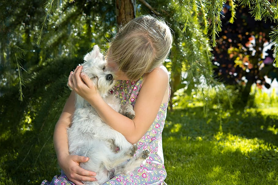 woman, blue, floral, sleeveless dress, holding, west highland, white, terrier puppy close-up photography, child, girl