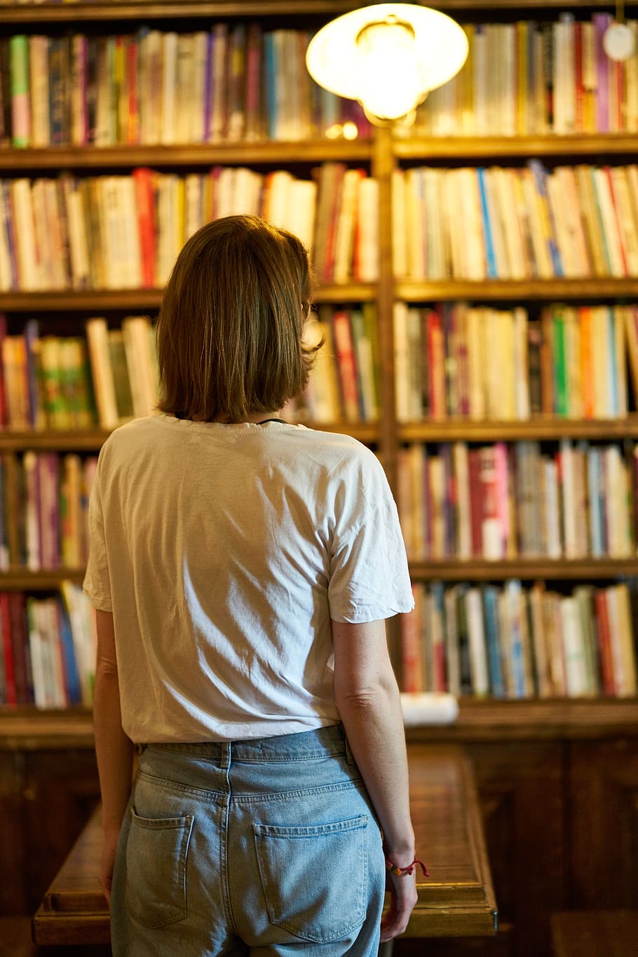 woman, rear, library, look, overview, book, read, education, course, work