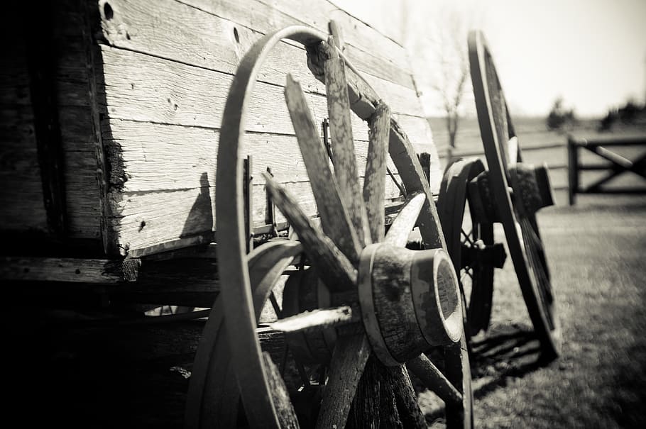 black and white, wagon, wheels, farm, wood - material, metal, day, focus on foreground, wheel, close-up