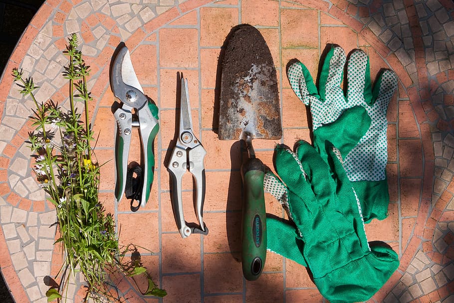pair, green, gloves;, stainless, steel gardening tools, gloves, stainless steel, gardening tools, scissors, pruning shears