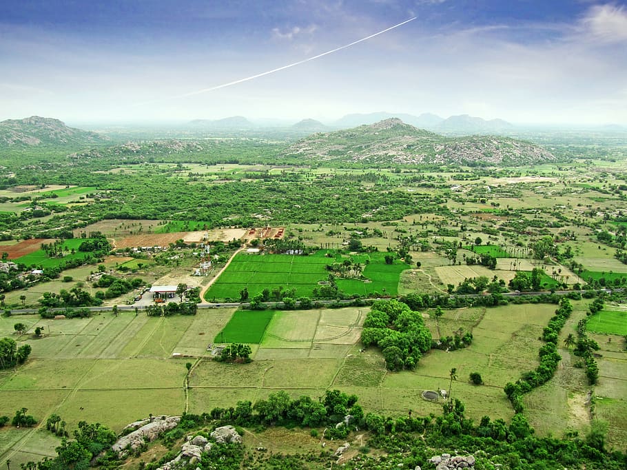 bird, eye view, grass field, landscape, east india, high view, surface, india, rural, land