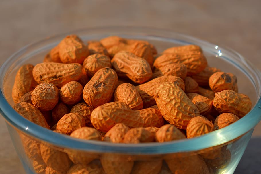 groundnuts, peanuts, nuts, snack, food, food and drink, bowl, freshness, close-up, healthy eating