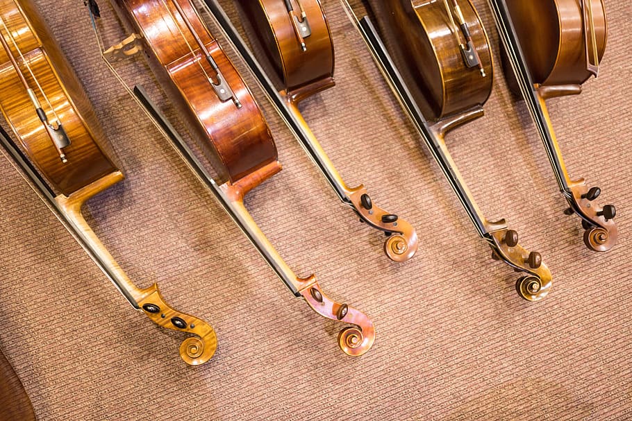 five, brown, violins, carpet, wood, classic, wooden, instrument, violin, sound