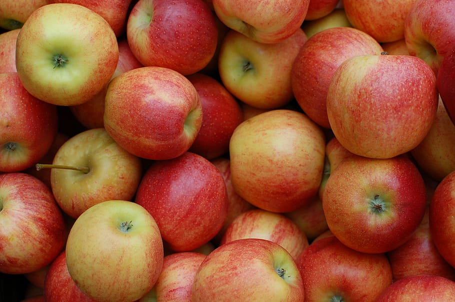 fotografía de primer plano, manzanas, rojo, fruta, huerta, alimentos, frescura, manzana - Fruta, orgánico, maduro