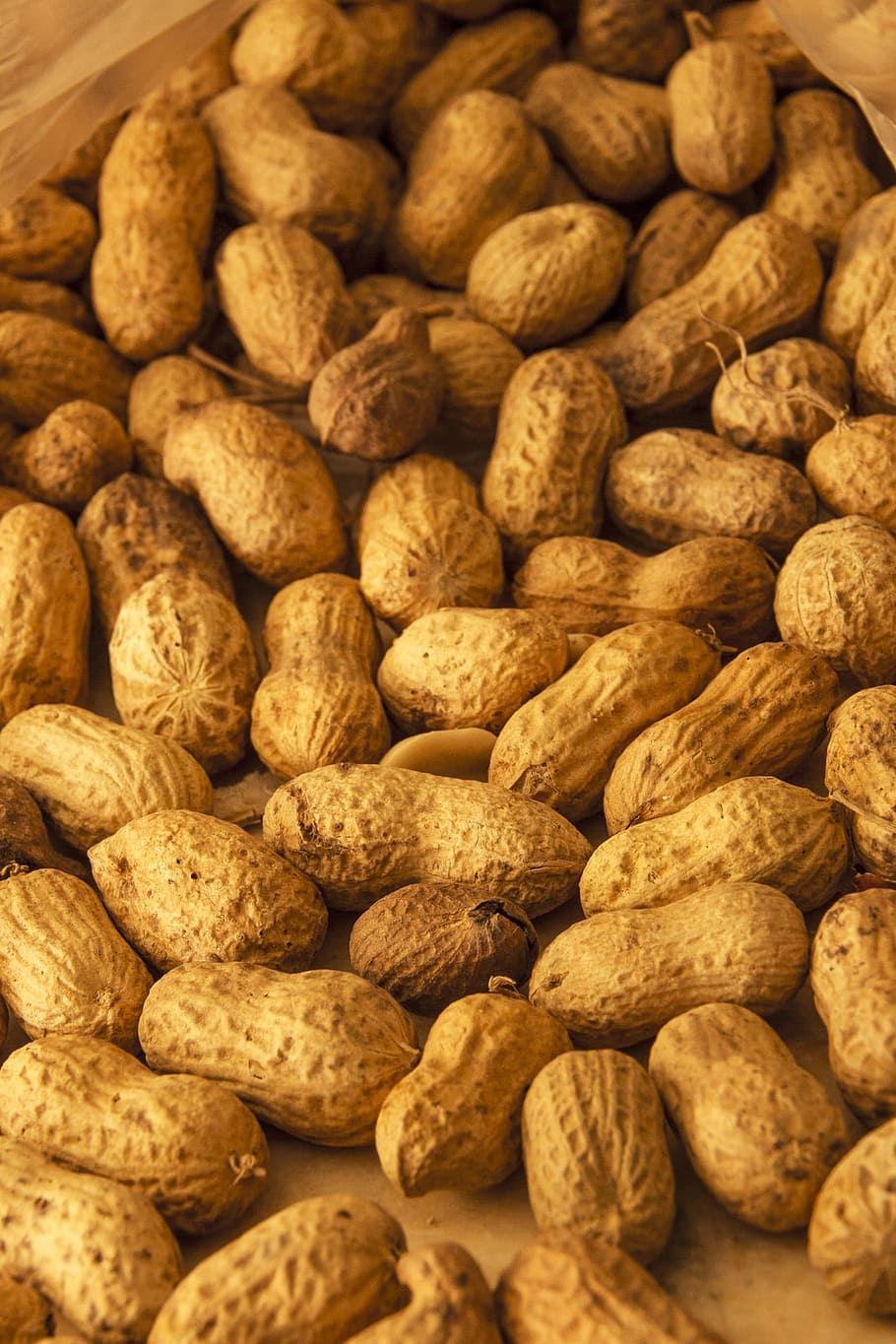 peanut, peanuts, dried fruit, doré, food, eat, food and drink, large group of objects, abundance, freshness