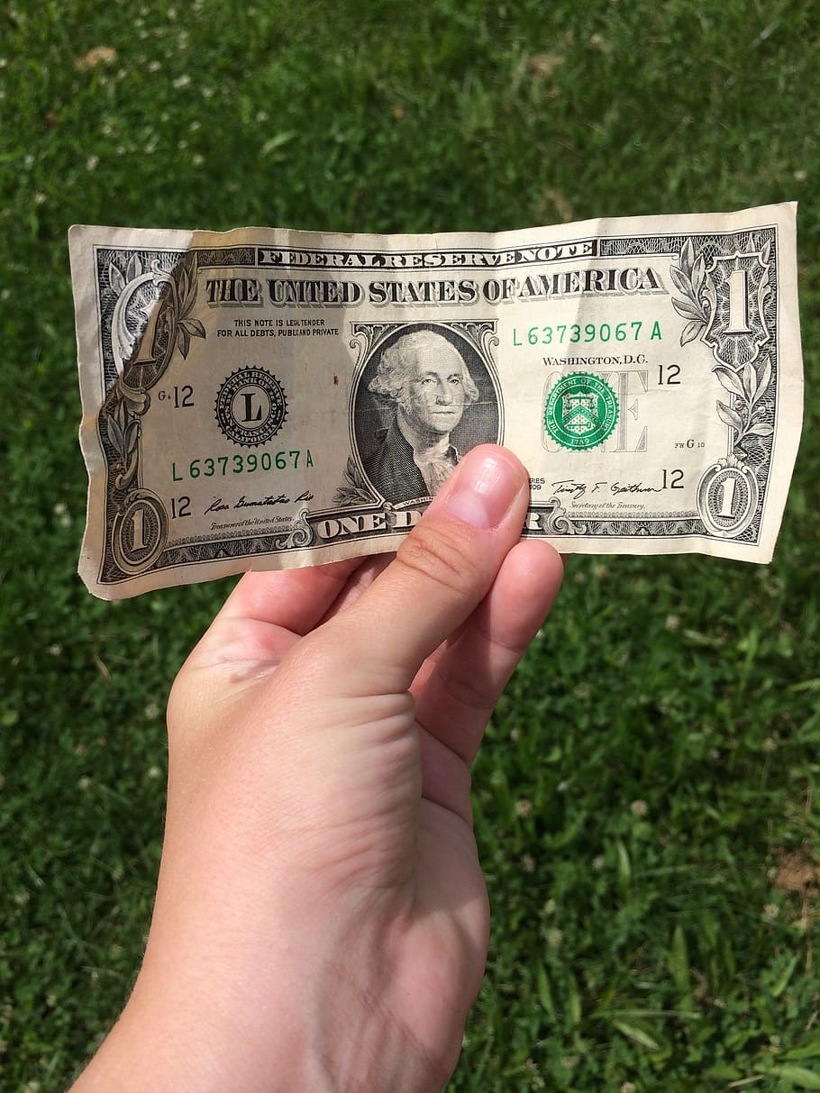 1 u.s, u.s., dollar banknote, dollar bill, hand, grass, money, cash, human hand, human body part