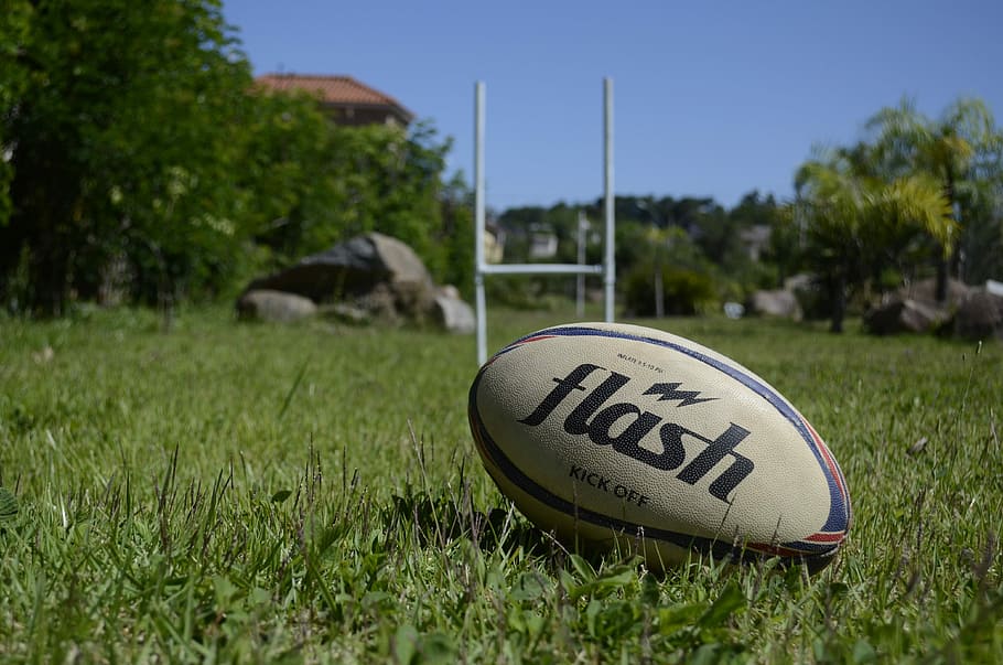 gray, flash football, lawn, Rugby, Sport, Ball, grass, tree, text, green color