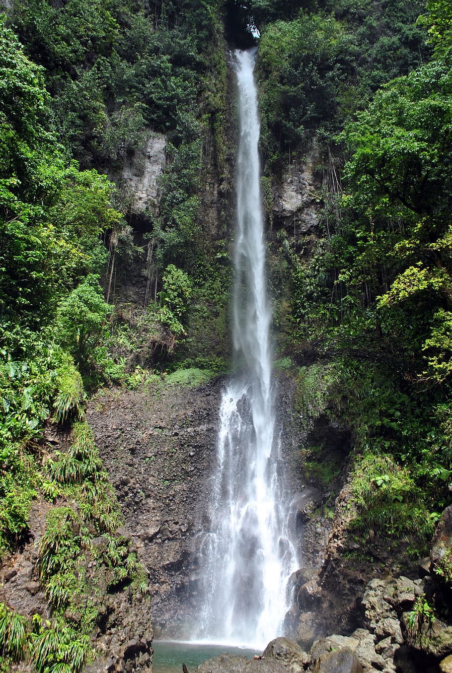 Dominica, Cachoeira, Floresta tropical, Caminhadas, parque nacional, tropical, Middleham se, floresta, paisagens, natureza