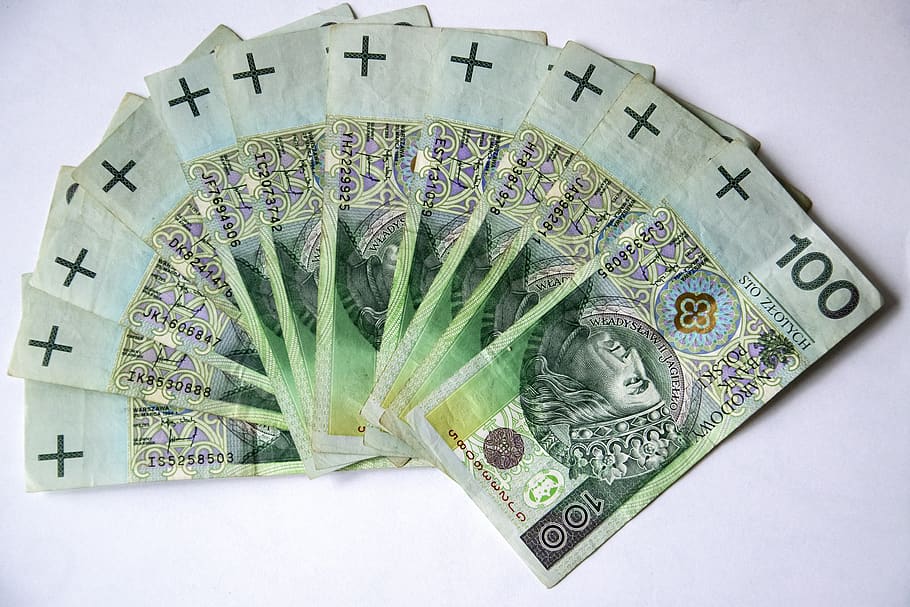 uang kertas euro, uang kertas polandia, uang, mata uang, keuangan, aman, emas, pln, gambar vektor, mata uang kertas