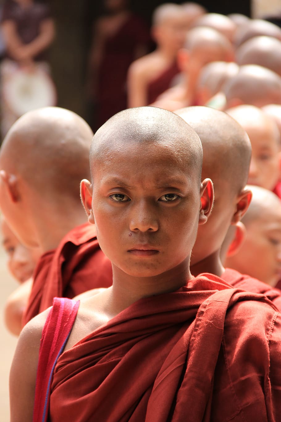 Myanmar, Bagan, Buddhism, Monk, Religion, child, headshot, portrait, focus on foreground, front view