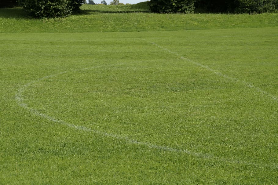 manicured lawn, sports ground, football pitch, grass, green, lines, sport, football field, half circle, football