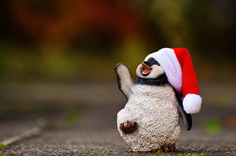 penguin, wearing, santa hat figurine, figure, christmas, santa hat, decoration, funny, animal, figures