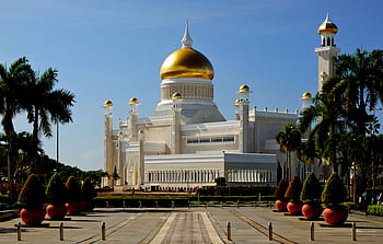 Royalty-free gold mosque photos free download  Pxfuel