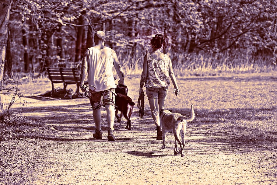 Fotografía en escala de grises, hombre, mujer, dos, perros, personas, juntos, pareja, perro, perro de la familia