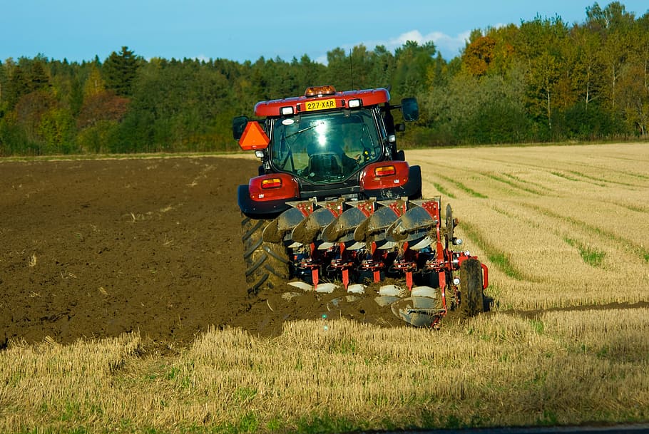 field, autumn, plow, tractor, transportation, land vehicle, plant, land, agricultural machinery, agricultural equipment