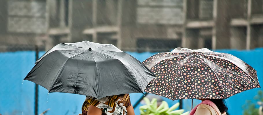 umbrella, rain, people, weather, protection, wet, women, parasol, outdoors, summer