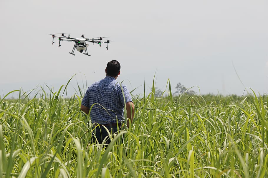 man, standing, green, grass, operating, drone, daytime, precision agriculture, crops, spray