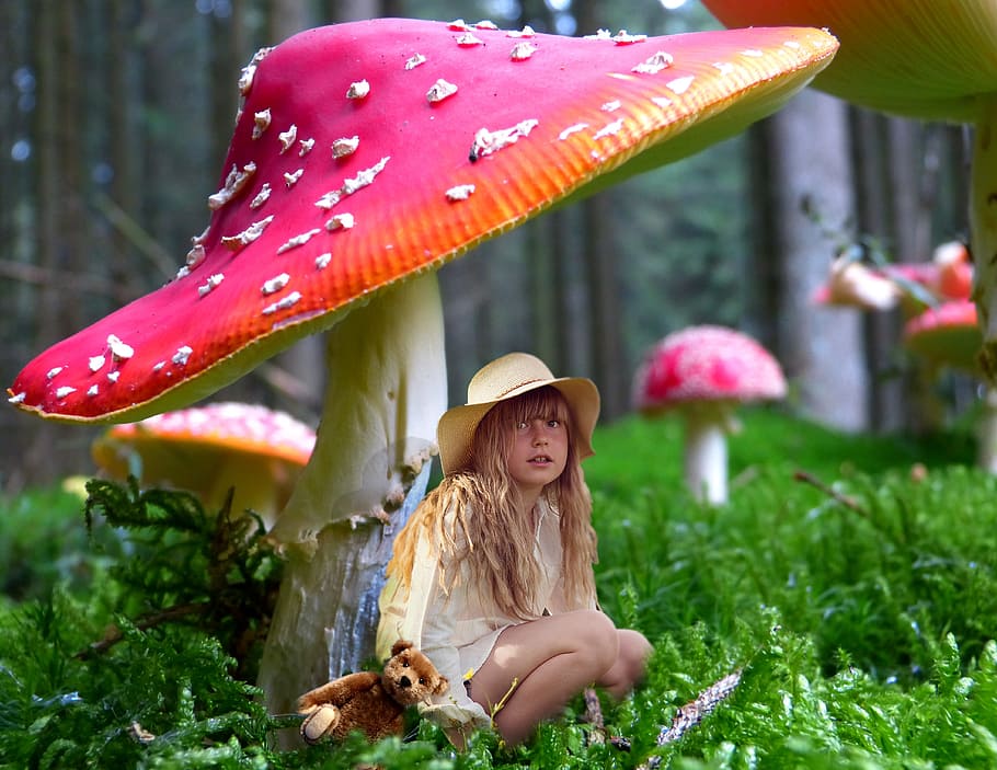 girl, sitting, pink, mushroom, child, fungus, umbrella, shelter, shadow, plant