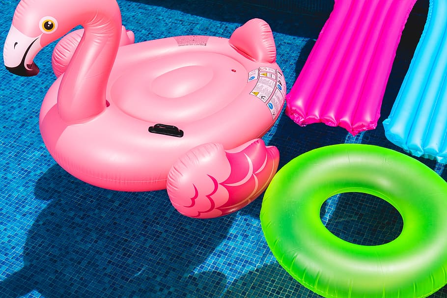 розовый, надувной фламинго, плавающий, бассейн, вода, животное, веселье, оборудование, фламенко, поплавок