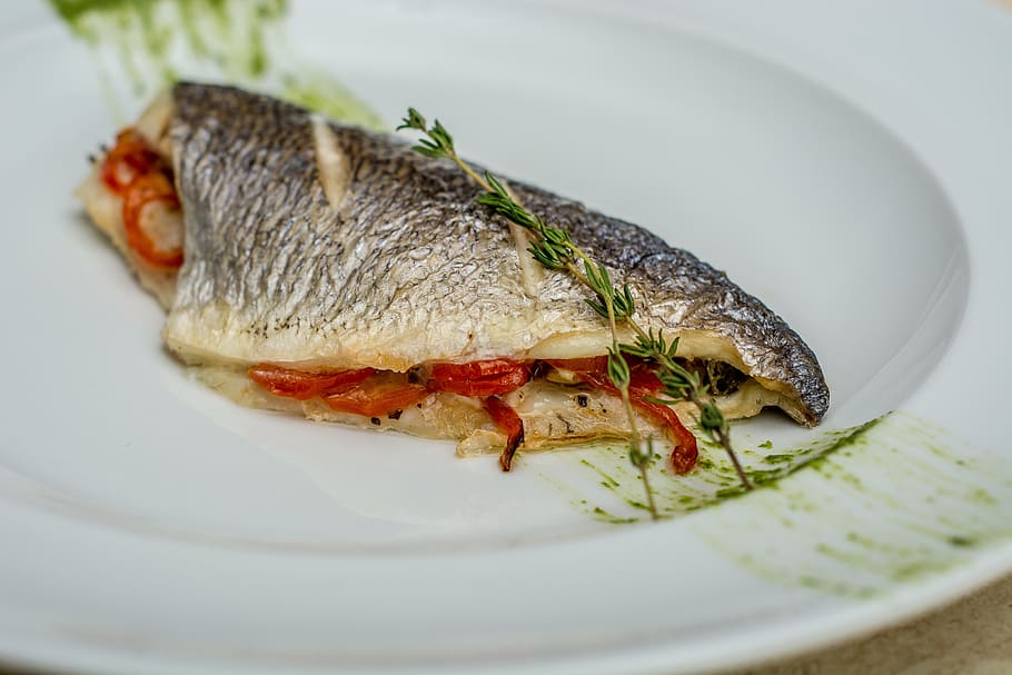 sea bass, fish, dish, food, food and drink, plate, freshness, ready-to-eat, animal, close-up
