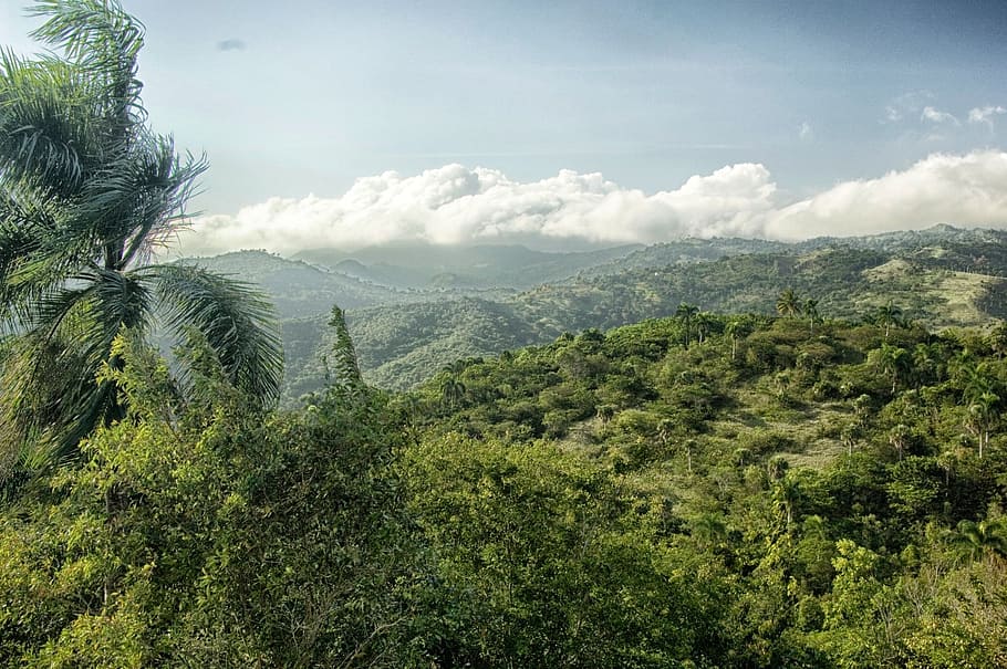 green, mountains, cloudy, sky, Dominican Republic, Landscape, Scenic, clouds, forest, trees