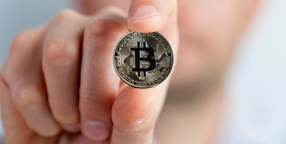 person, holding, bitcoin coin, bitcoin, crypto-currency, currency, money, hand, keep, business card