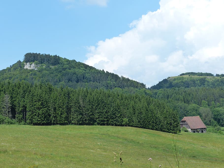 Wenzel, Stone, Swabian Alb, wenzel stone, summer day, punch, sheep mountain, zollernalb, alb eaves, hike