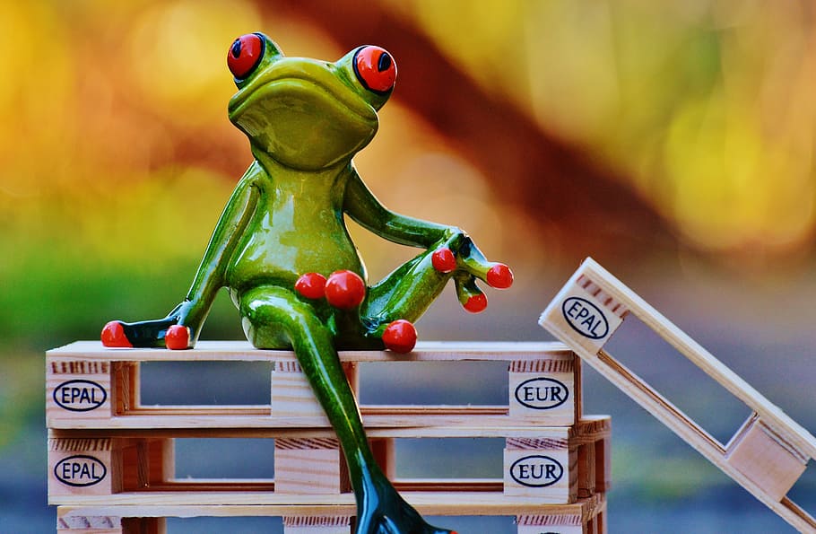Frog, Euro, Pallets, Sit, euro pallets, funny, cute, sweet, stack, stacked