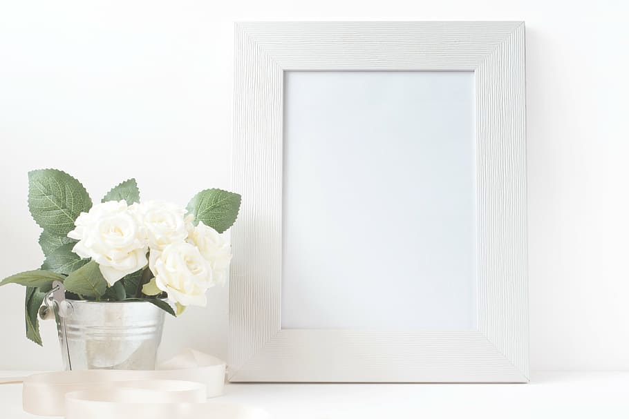photo frame, potted, white, flower, frame, canvas, card, paper, blank, bouquet