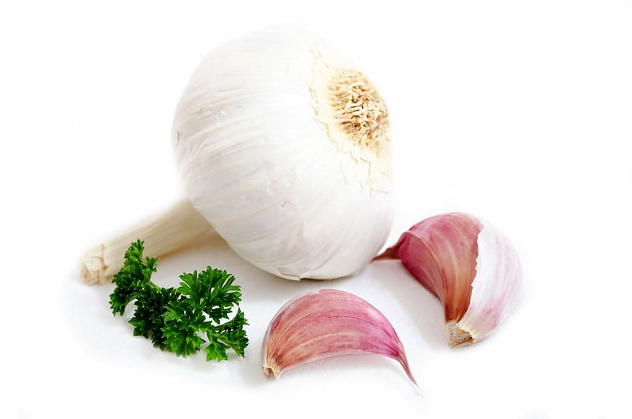 white garlic, garlic, spice, food, parsley, white, green, organic, bulb, life